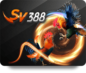 SHBET Casino Royal - Nơi đến lý tưởng cho game thủ yêu thích cá cược